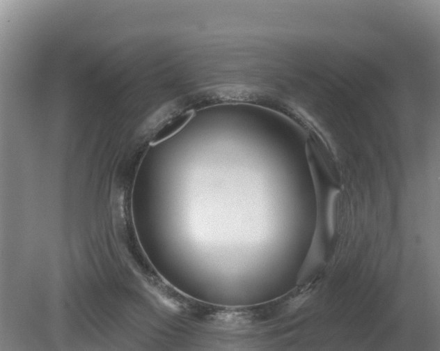 X0000080130117200612151748