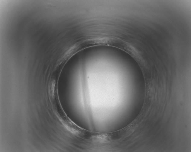 X0000080130118200612151748