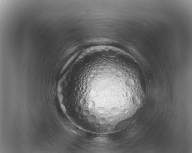 X0000080130119200612151748