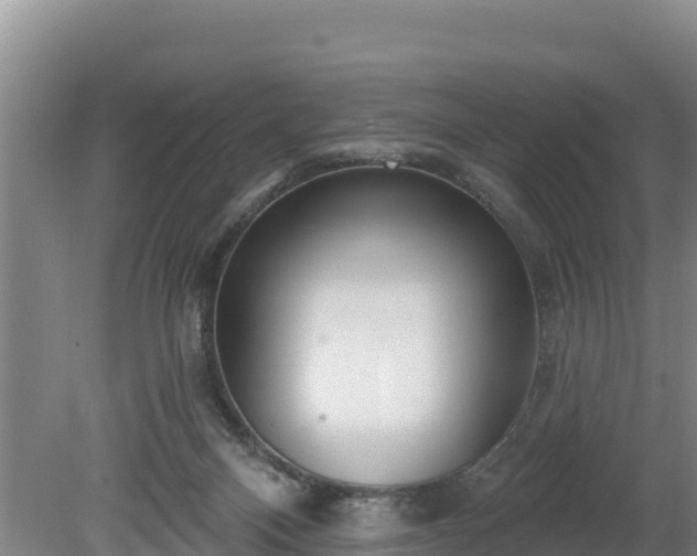 X0000080130120200612151748