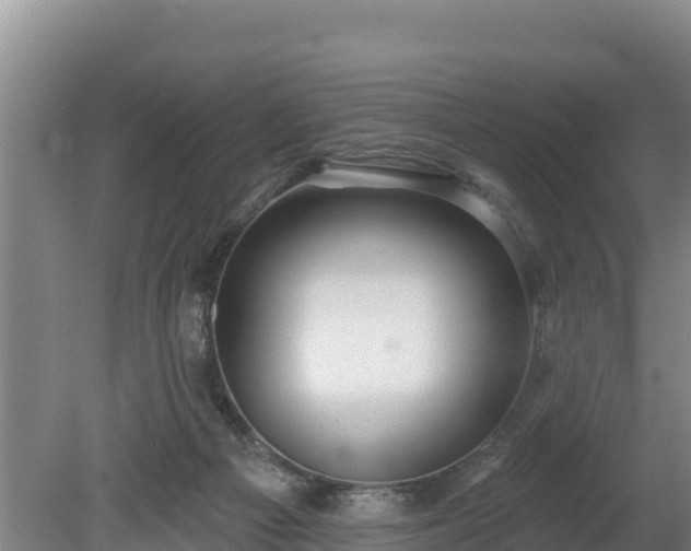 X0000080130121200612151748