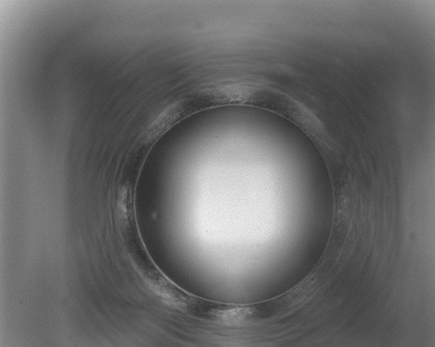 X0000080130122200612151748