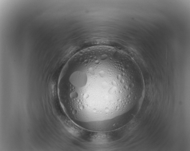 X0000080130123200612151748