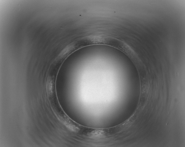 X0000080130124200612151748