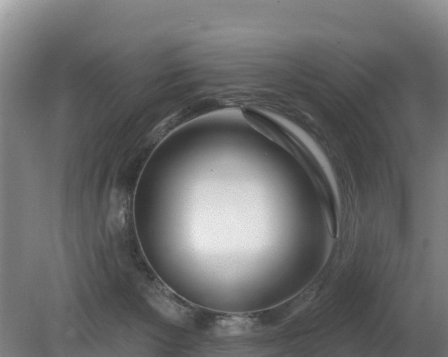 X0000080130125200612151748