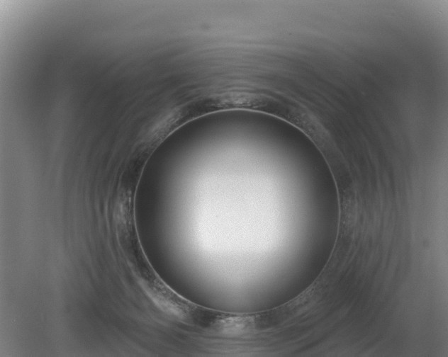 X0000080130126200612151748