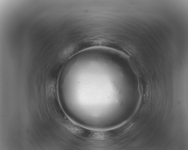 X0000080130127200612151748