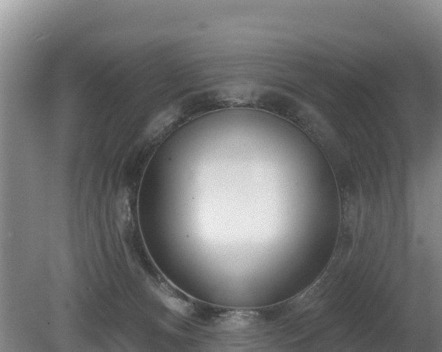 X0000080130128200612151748