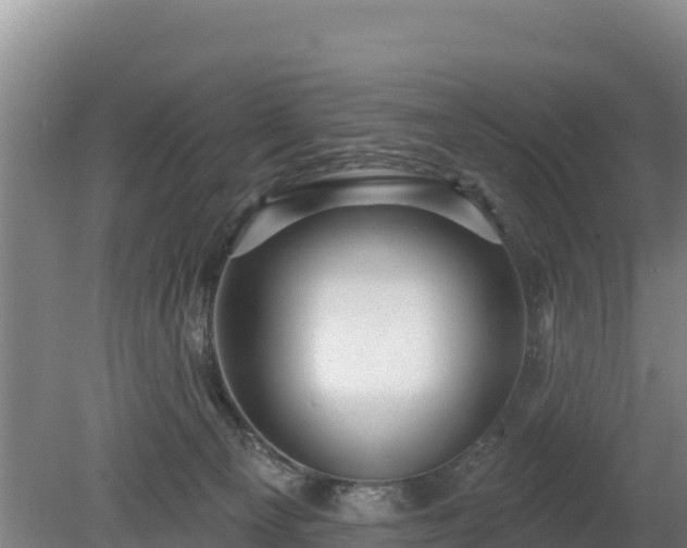 X0000080130129200612151748