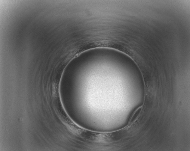 X0000080130130200612151748