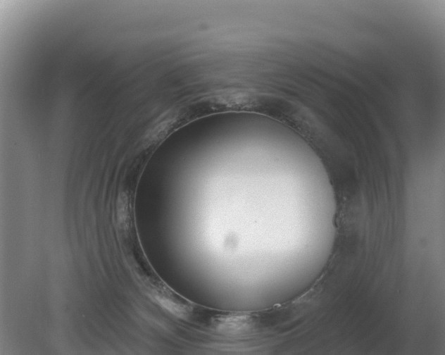 X0000080130132200612151748