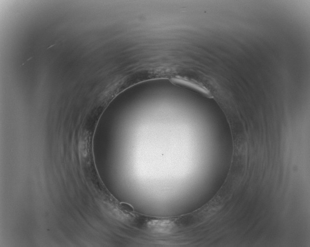 X0000080130133200612151748