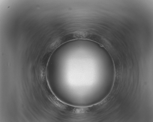 X0000080130134200612151748