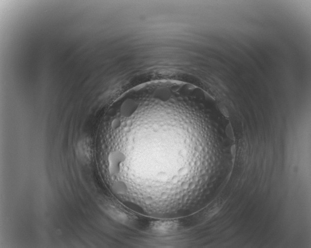 X0000080130135200612151748