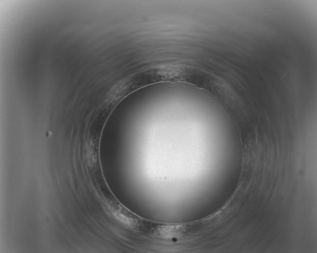 X0000080130136200612151748