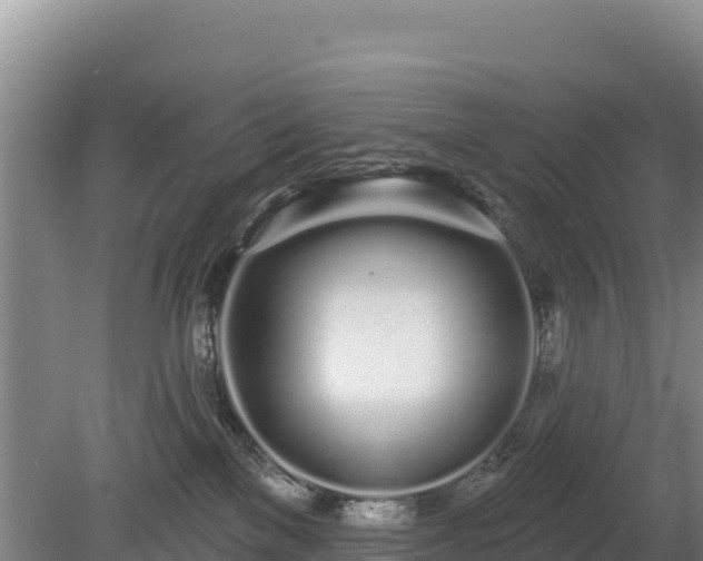 X0000080130137200612151748