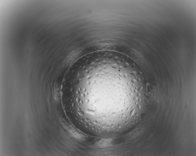 X0000080130138200612151748