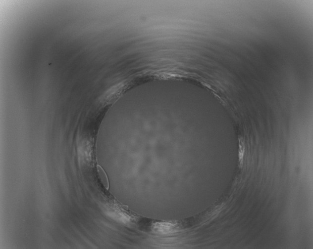 X0000080130139200612151748