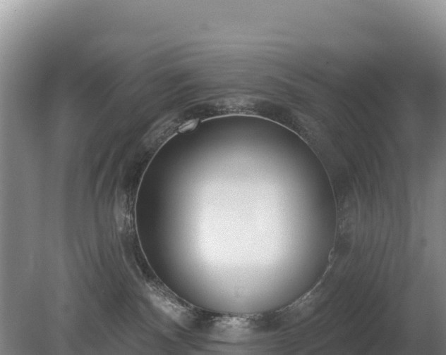 X0000080130140200612151748