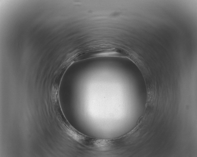 X0000080130142200612151748