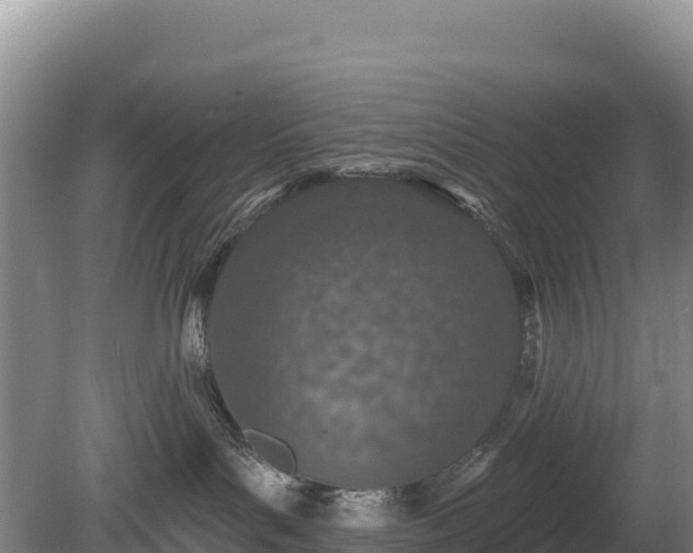 X0000080130143200612151748