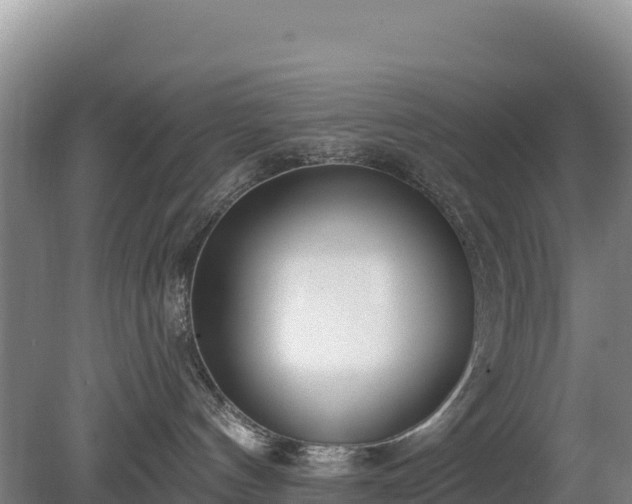 X0000080130144200612151748