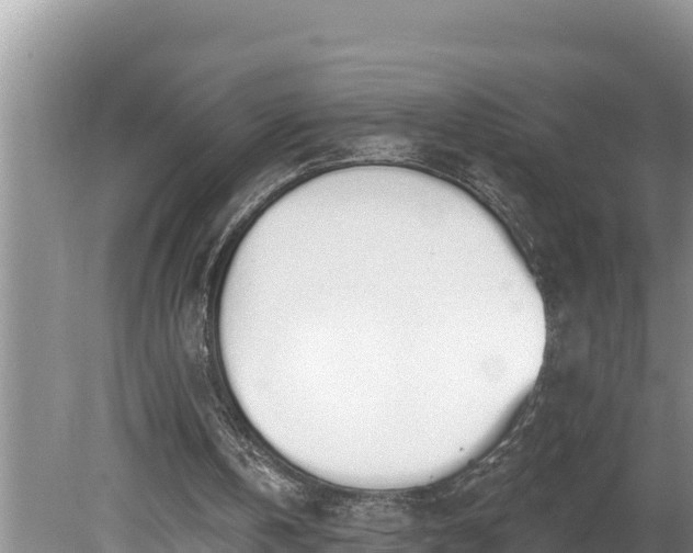 X0000080130146200612151747