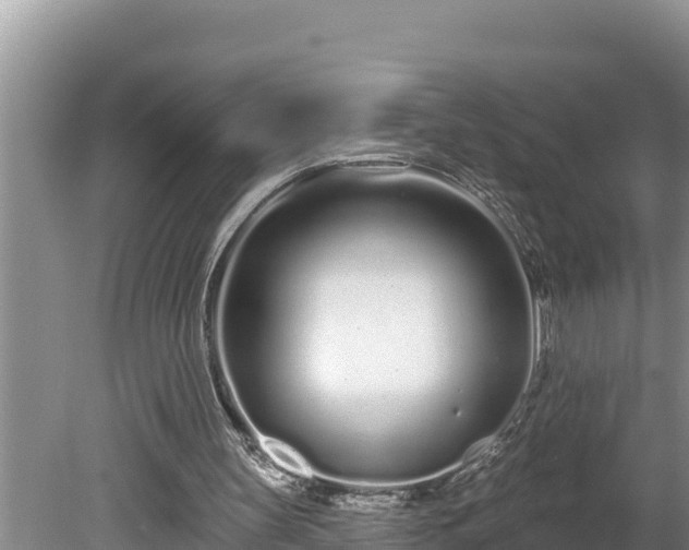 X0000080130147200612151747