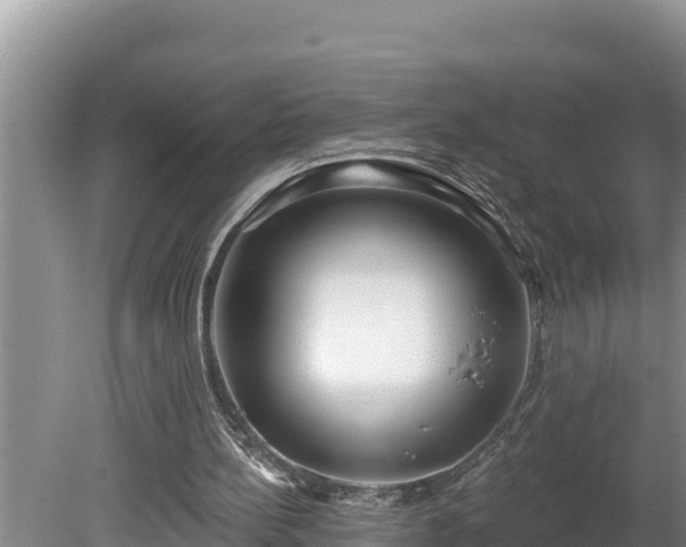 X0000080130148200612151747