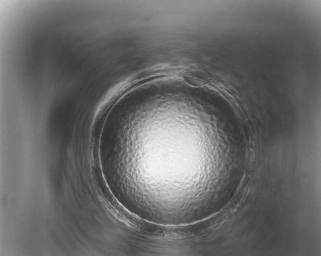 X0000080130149200612151747