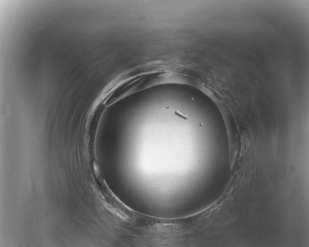 X0000080130150200612151747