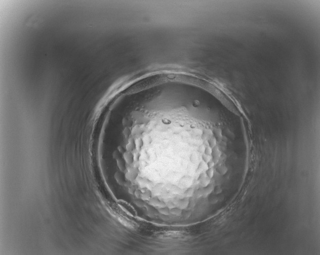 X0000080130151200612151747