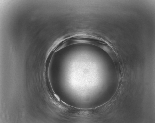 X0000080130152200612151747