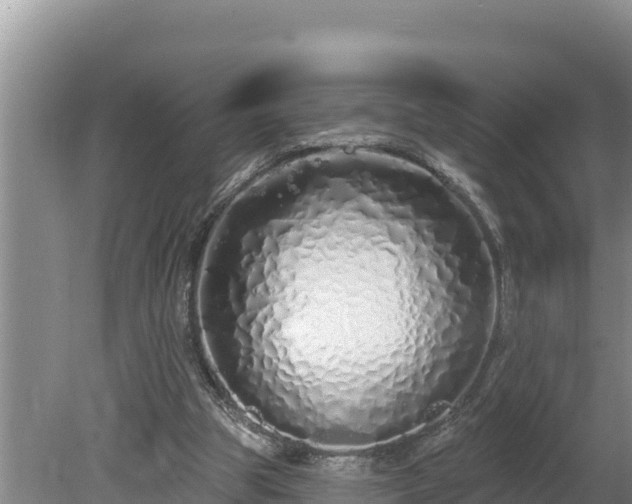 X0000080130153200612151747