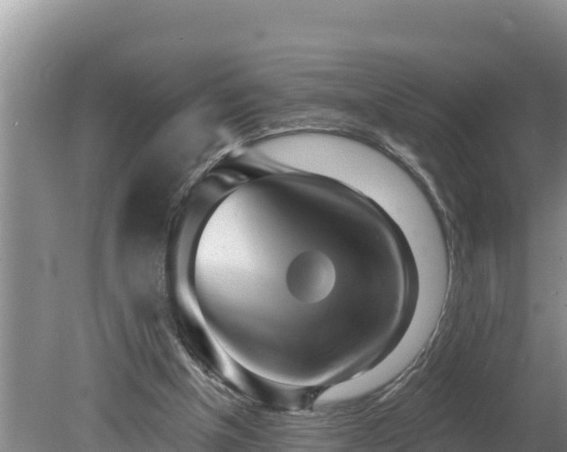 X0000080130154200612151747