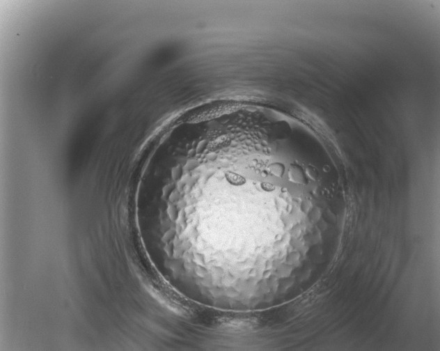 X0000080130155200612151747