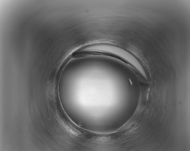 X0000080130156200612151747