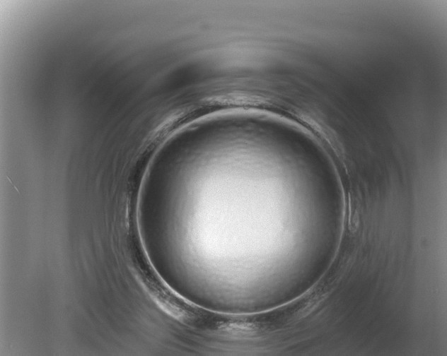 X0000080130157200612151747