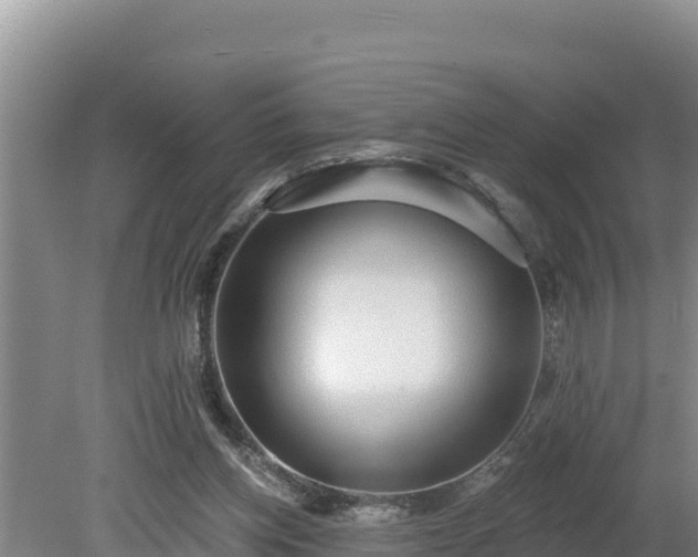 X0000080130158200612151747