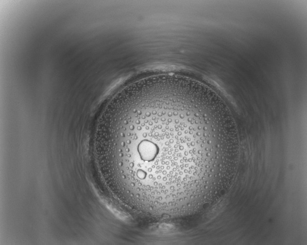 X0000080130159200612151747