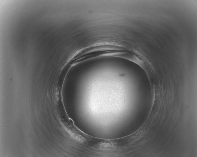 X0000080130160200612151747