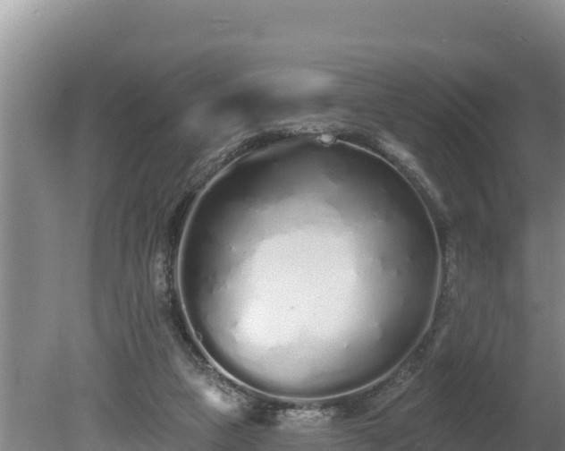 X0000080130161200612151747