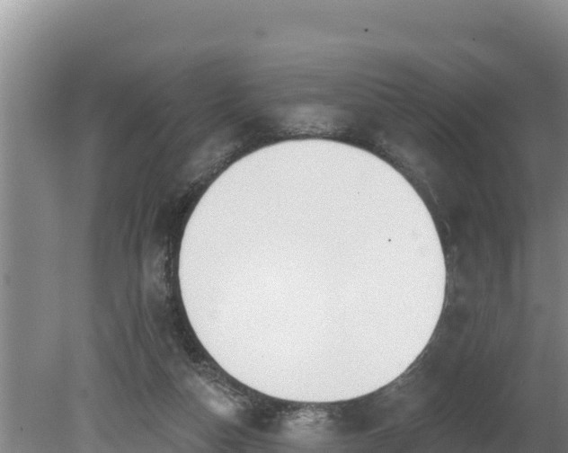 X0000080130162200612151747