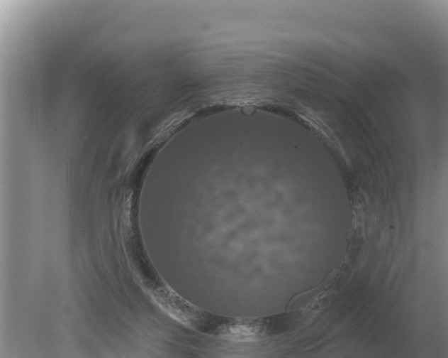 X0000080130163200612151747