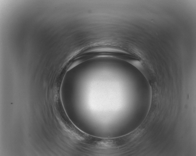 X0000080130164200612151747