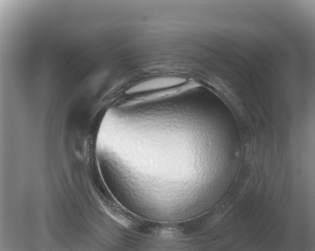 X0000080130165200612151747