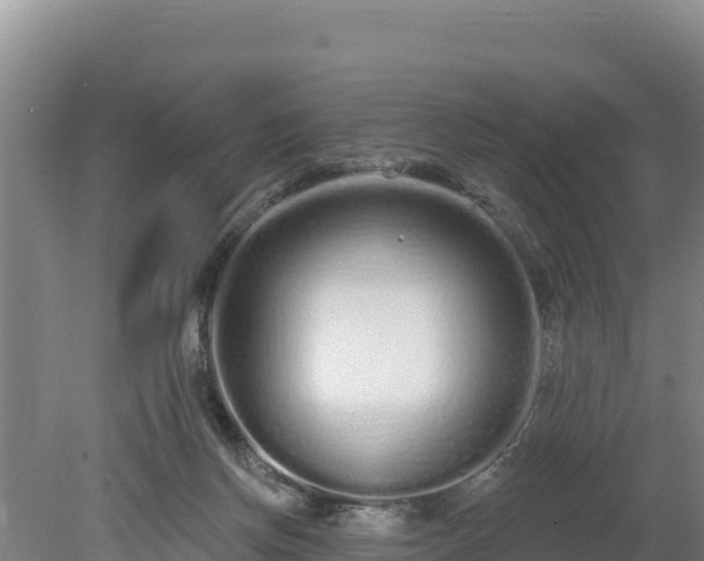 X0000080130166200612151747