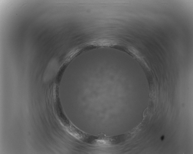 X0000080130167200612151747