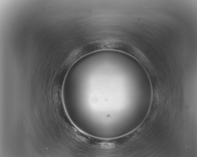 X0000080130169200612151748