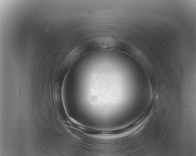 X0000080130170200612151748